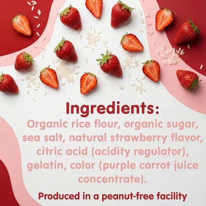 Toddler Mum-Mum Organic Rice Biscuits, Blueberry, Strawberry, Mango & Kiwi Variety Pack | 24 Count (Pack of 3) | Gluten Free, Allergen Free, Non-GMO