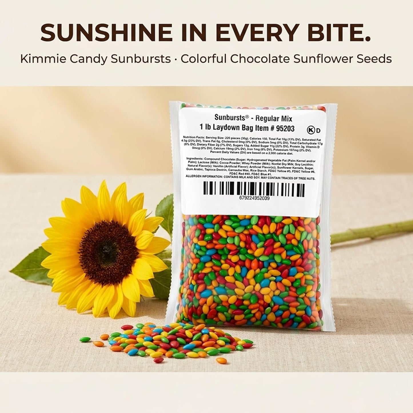 Kimmie Candy Sunbursts, Chocolate Covered Sunflower Seeds with Colorful Candy Shell, Bulk Bag | 2 lb | Non-GMO, Peanut-Free, Gluten-Free