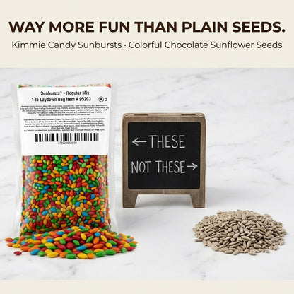 Kimmie Candy Sunbursts, Chocolate Covered Sunflower Seeds with Colorful Candy Shell, Bulk Bag | 2 lb | Non-GMO, Peanut-Free, Gluten-Free